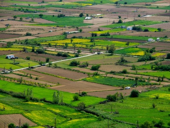 1200 sq ft Residential Plot for Sale in Kulpahar